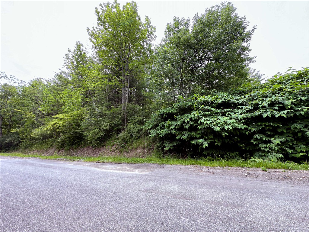 Sheff Road South New Berlin, NY 13843 - Photo 33 of 35