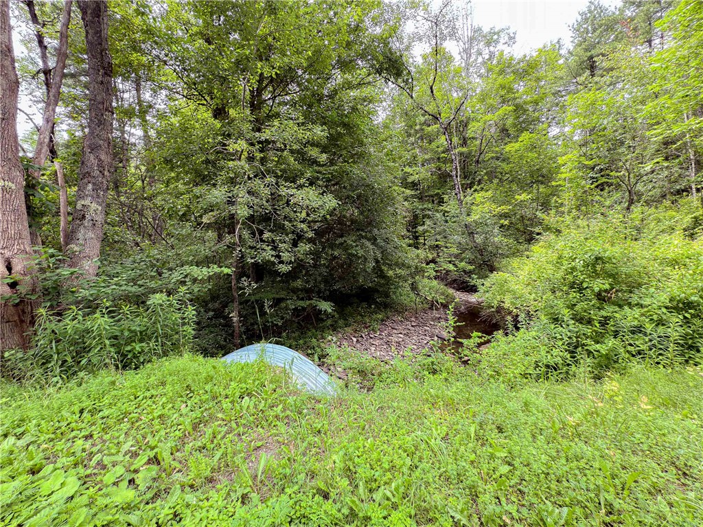 Sheff Road South New Berlin, NY 13843 - Photo 34 of 35