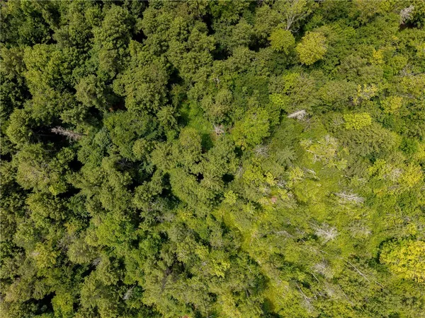 $269,000 | Sheff Road, South New Berlin, NY 13843