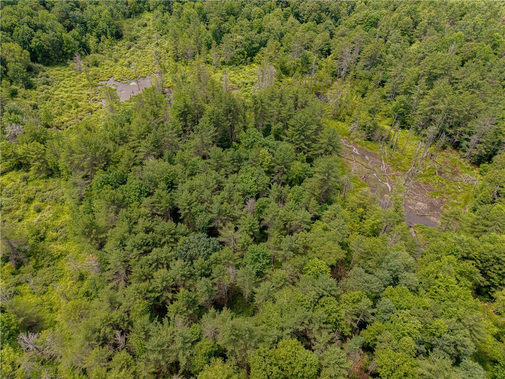 Sheff Road South New Berlin, NY 13843 - Photo 7 of 35