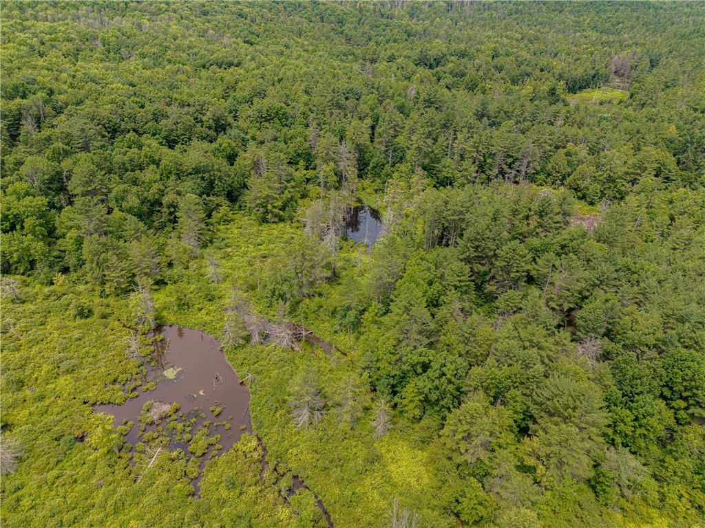 Sheff Road South New Berlin, NY 13843 - Photo 9 of 35