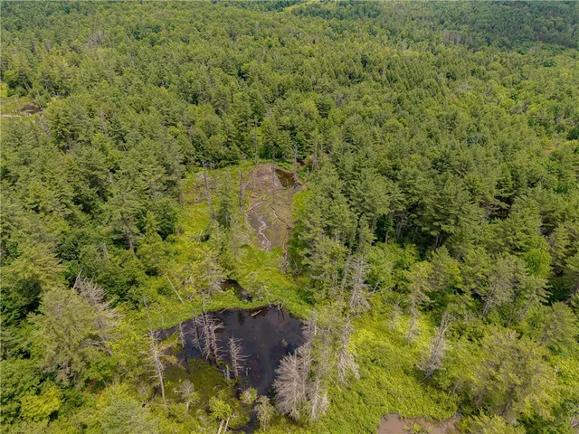 $269,000 | Sheff Road, South New Berlin, NY 13843