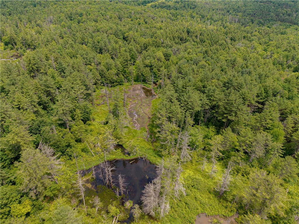 Sheff Road South New Berlin, NY 13843 - Photo 10 of 35