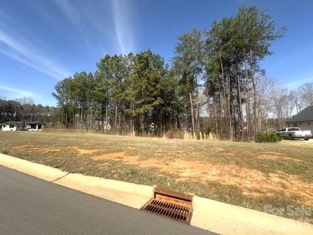 315 Grassy Rdg Court Clover, SC 29710 - Photo 11 of 13