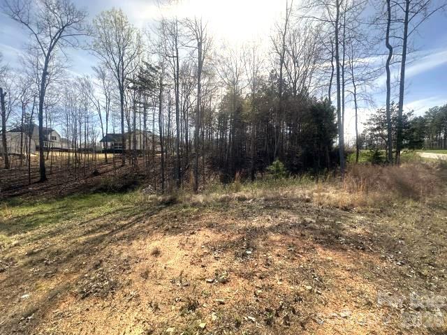 315 Grassy Rdg Court Clover, SC 29710 - Photo 12 of 13