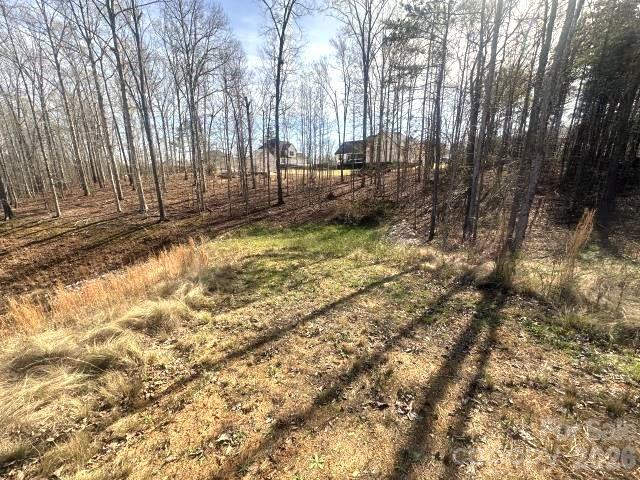 315 Grassy Rdg Court Clover, SC 29710 - Photo 13 of 13