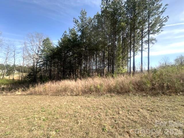 315 Grassy Rdg Court Clover, SC 29710 - Photo 3 of 13