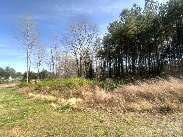 315 Grassy Rdg Court Clover, SC 29710 - Photo 4 of 13