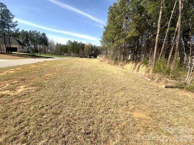 315 Grassy Rdg Court Clover, SC 29710 - Photo 8 of 13