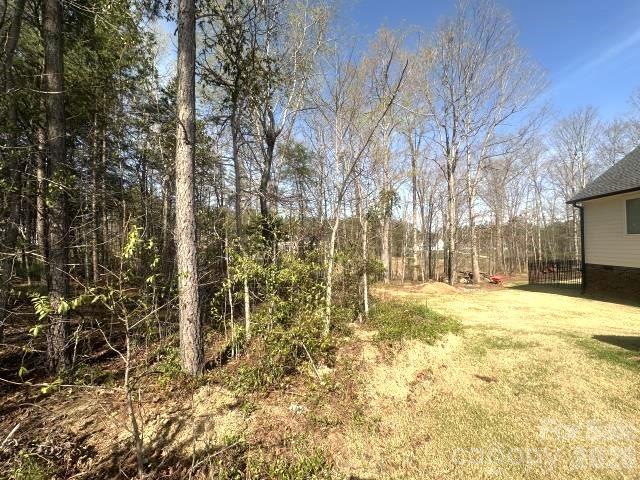 315 Grassy Rdg Court Clover, SC 29710 - Photo 9 of 13