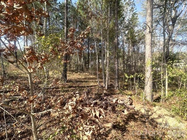 315 Grassy Rdg Court Clover, SC 29710 - Photo 10 of 13