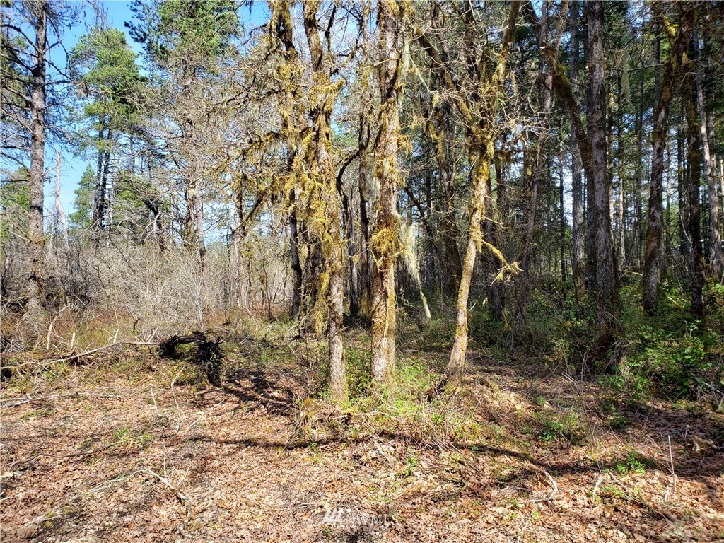 -xxx West Simpson Road Shelton, WA 98584 - Photo 1 of 8 Gallery Image 1