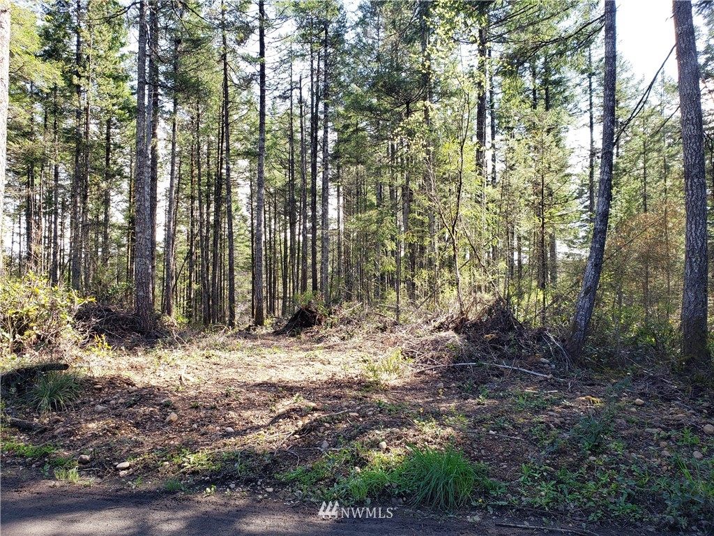 -xxx West Simpson Road Shelton, WA 98584 - Photo 5 of 8 Gallery Image 5