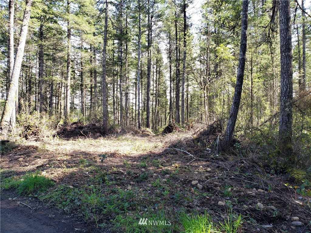 -xxx West Simpson Road Shelton, WA 98584 - Photo 6 of 8 Gallery Image 6