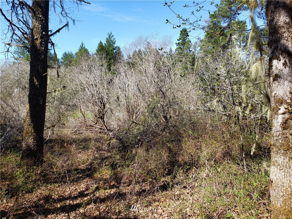 -xxx West Simpson Road Shelton, WA 98584 - Photo 7 of 8 Gallery Image 7