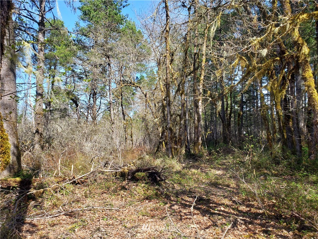 -xxx West Simpson Road Shelton, WA 98584 - Photo 8 of 8 Gallery Image 8