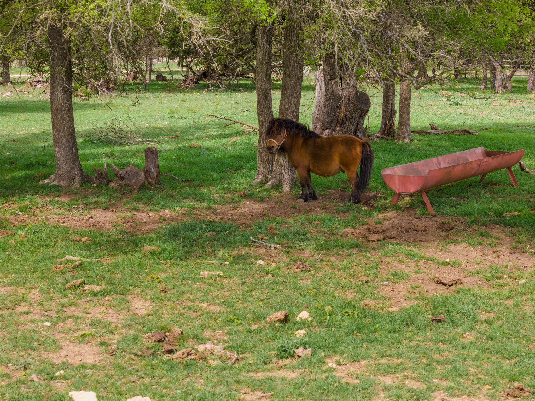6200 Solana Ranch Road Salado, TX 76571 - Photo 29 of 38