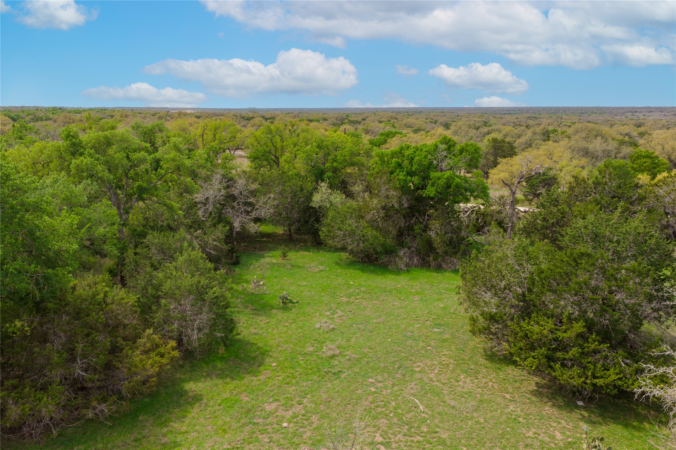 6200 Solana Ranch Road Salado, TX 76571 - Photo 32 of 38 Lots of tree cover in the back pasture