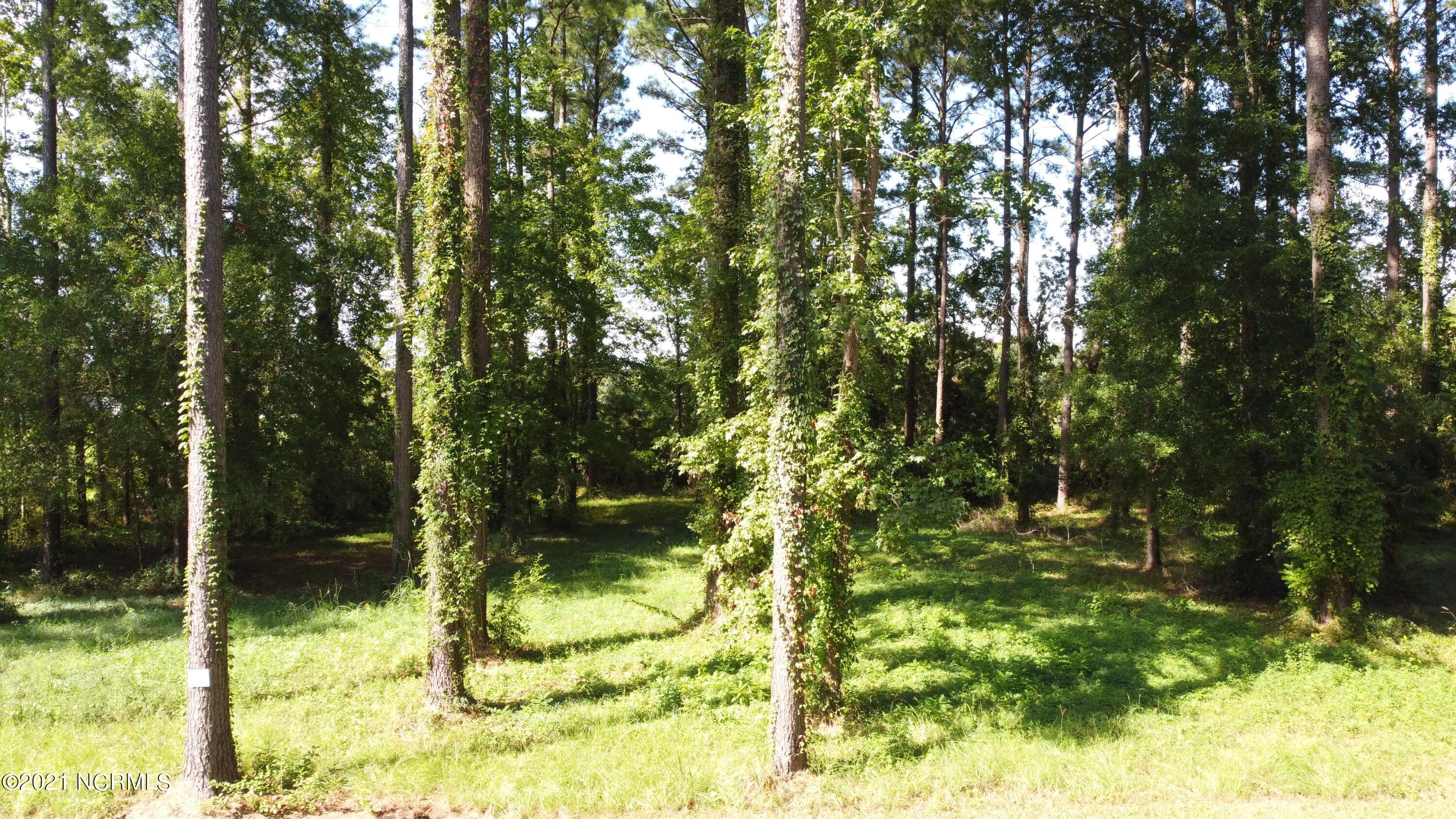 211 Corolla Loop Road Arapahoe, NC 28510 - Photo 5 of 11 DJI_0353