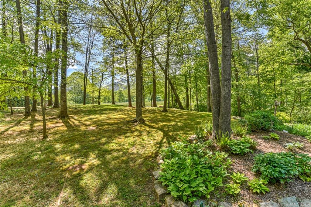 156 Ridge Road Candler, NC 28715 - Photo 5 of 40 Gallery Image 5