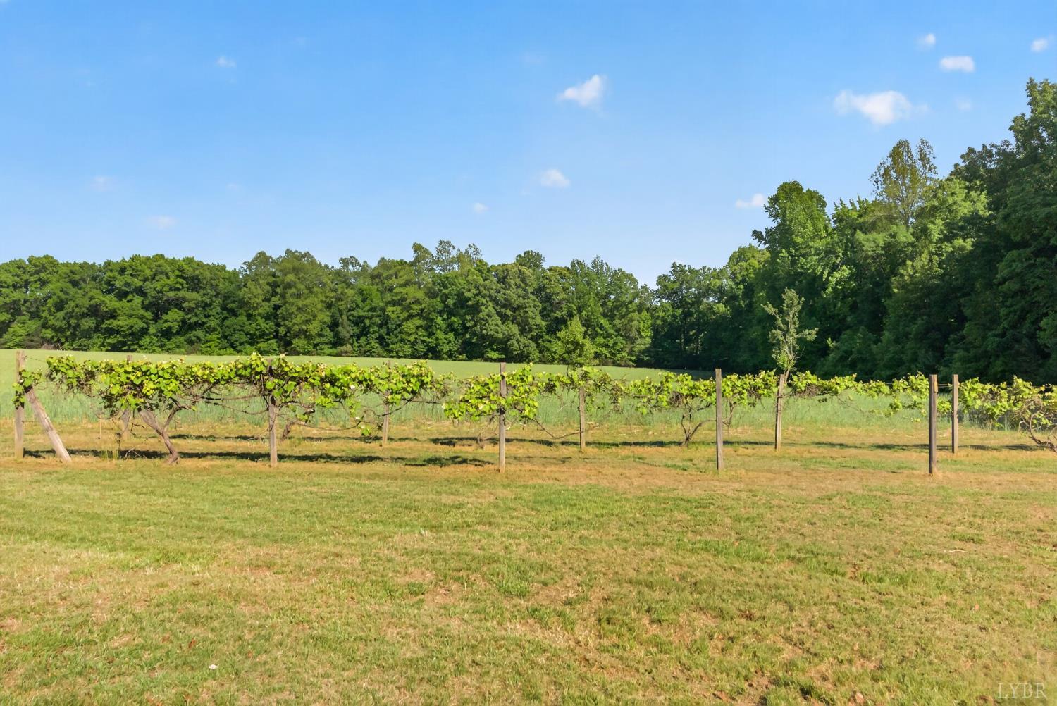 644 Campbell Crossing Road Meherrin, VA 23954 - Photo 32 of 49