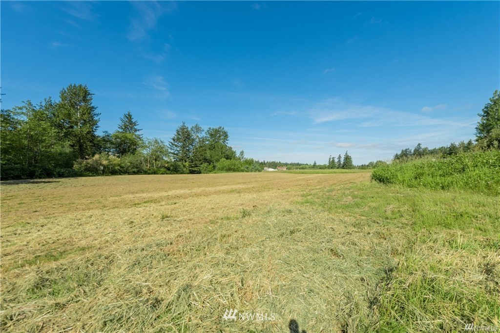 4108 Loomis Trail Road Blaine, WA 98230 - Photo 1 of 13 Gallery Image 1
