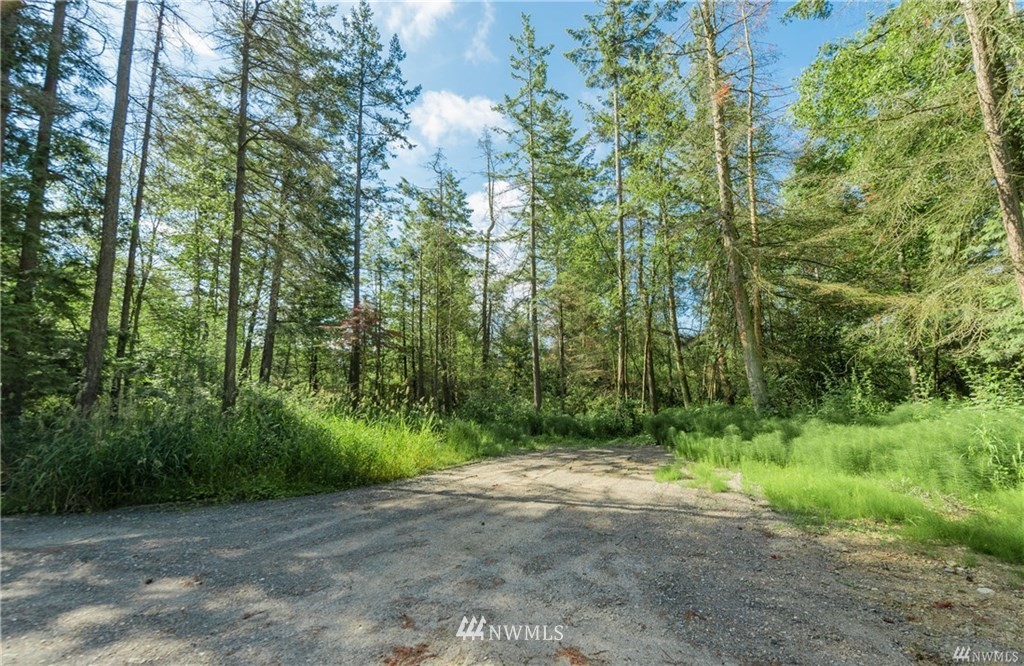 4108 Loomis Trail Road Blaine, WA 98230 - Photo 3 of 13 Gallery Image 3