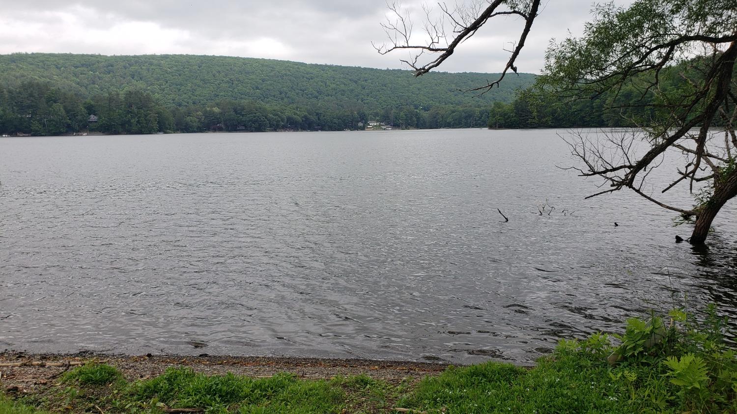 0 State Highway Oneonta, NY 13820 - Photo 10 of 10