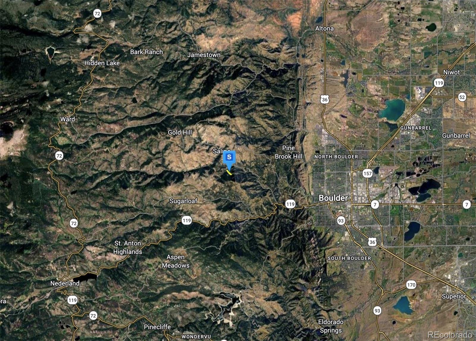 888 Alaska Road Boulder, CO 80302 - Photo 5 of 5 a picture of tree