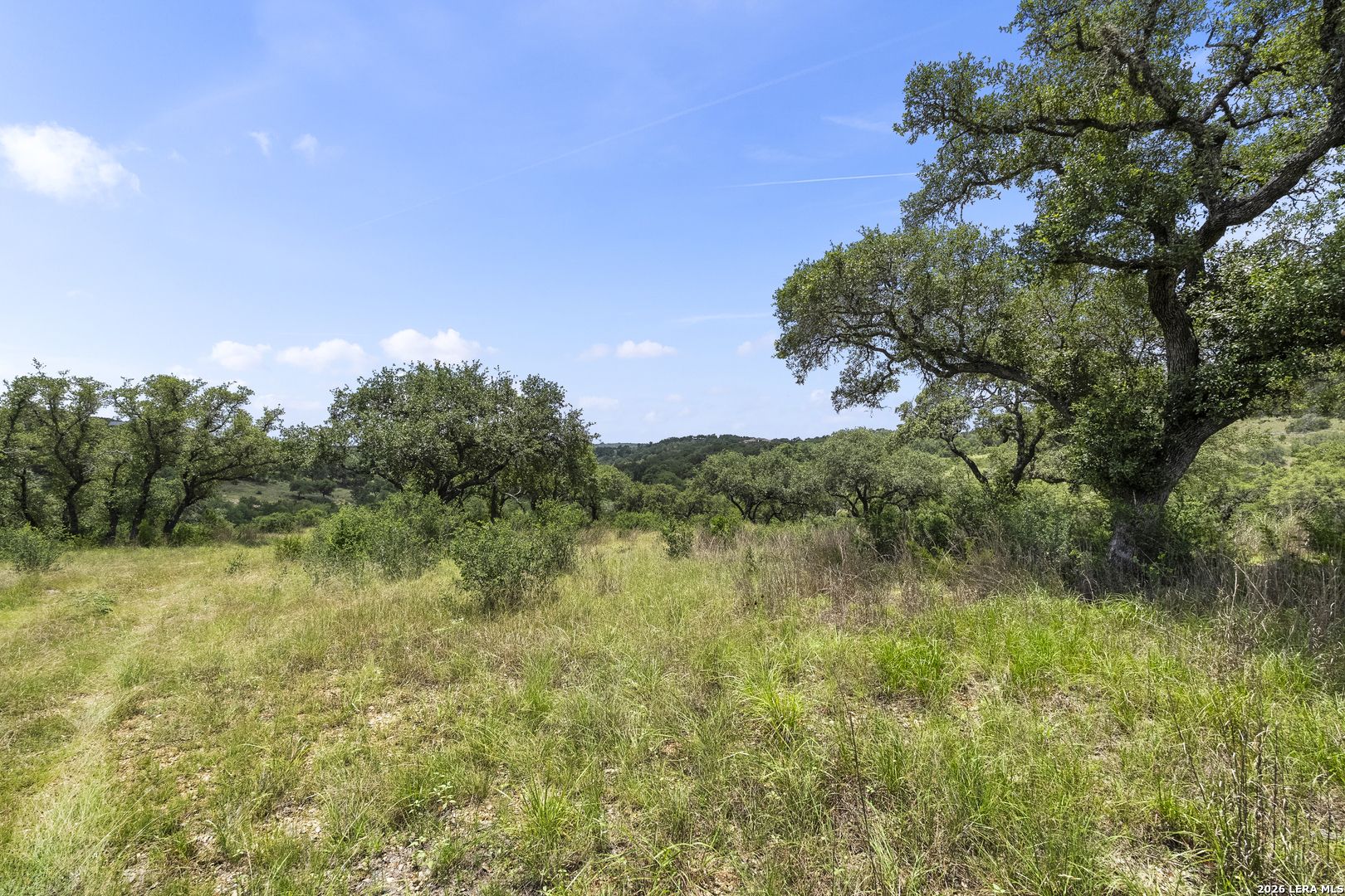 29091 Cibolo Cliff Road Bulverde, TX 78163 - Photo 30 of 42