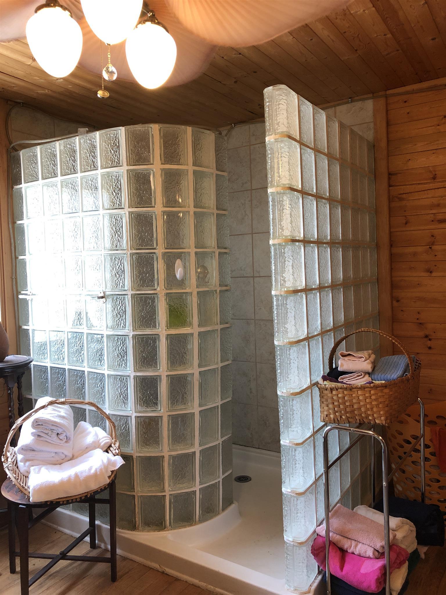 96 Long Branch Road Lawrenceburg, TN 38464 - Photo 13 of 27 Glass block tile bathroom
