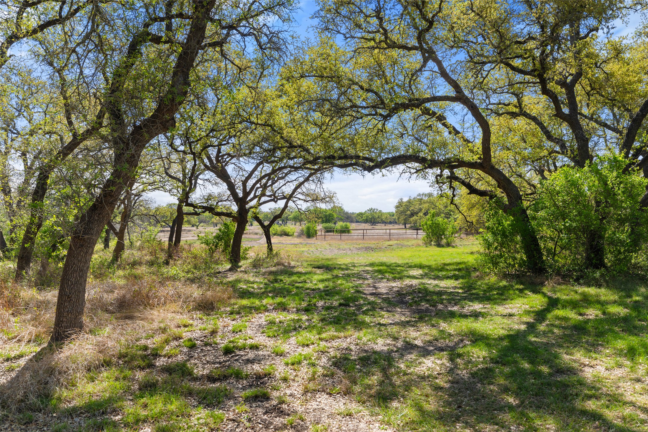 546 Lazy Oak Road Hye, TX 78635 - Photo 5 of 34 a view of outdoor space with a yard