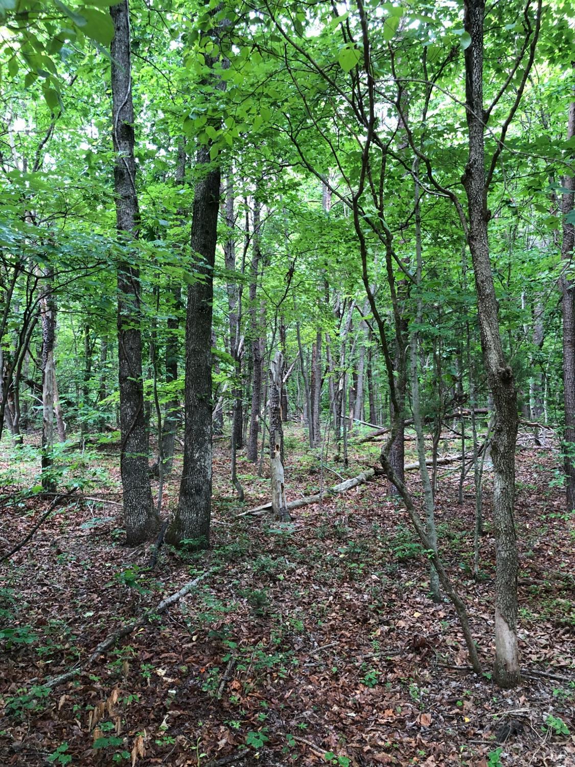 9 Plantation Road Amherst, VA 24521 - Photo 2 of 6 Gallery Image 2