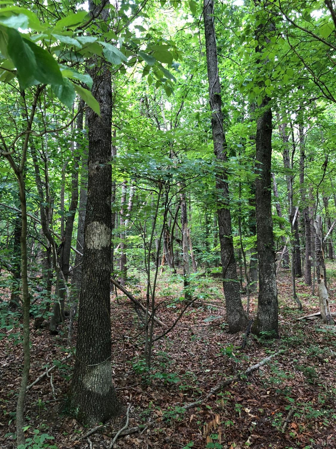 9 Plantation Road Amherst, VA 24521 - Photo 4 of 6 Gallery Image 4