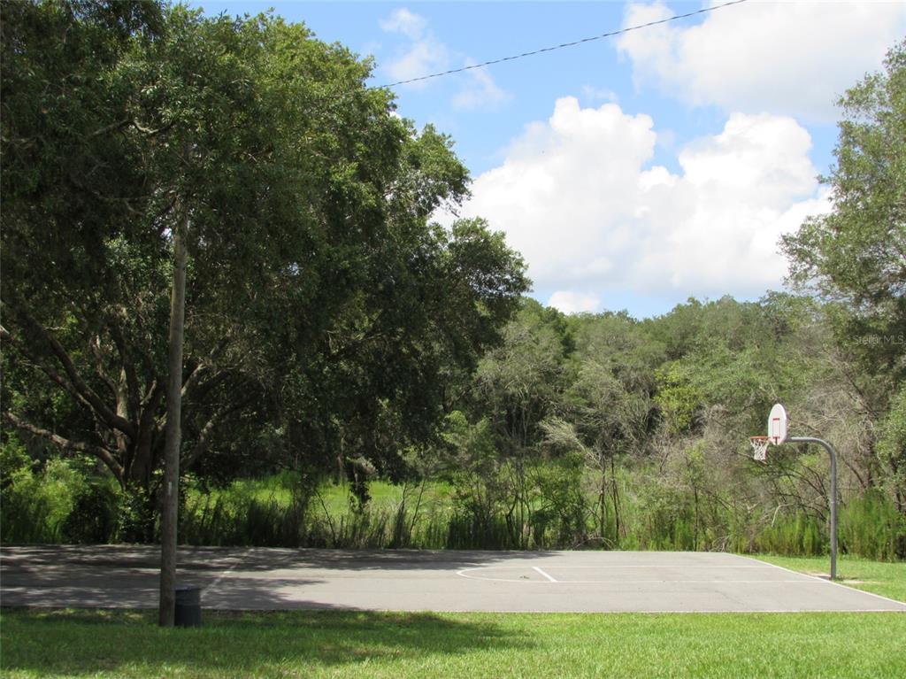 0 Southwest Big Bear Ridge Dunnellon, FL 34431 - Photo 13 of 19 a view of a yard