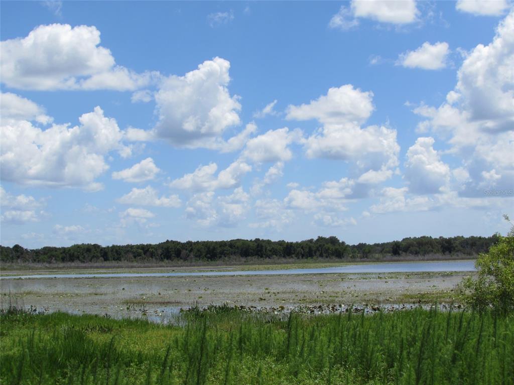 0 Southwest Big Bear Ridge Dunnellon, FL 34431 - Photo 18 of 19 a view of lake with mountain
