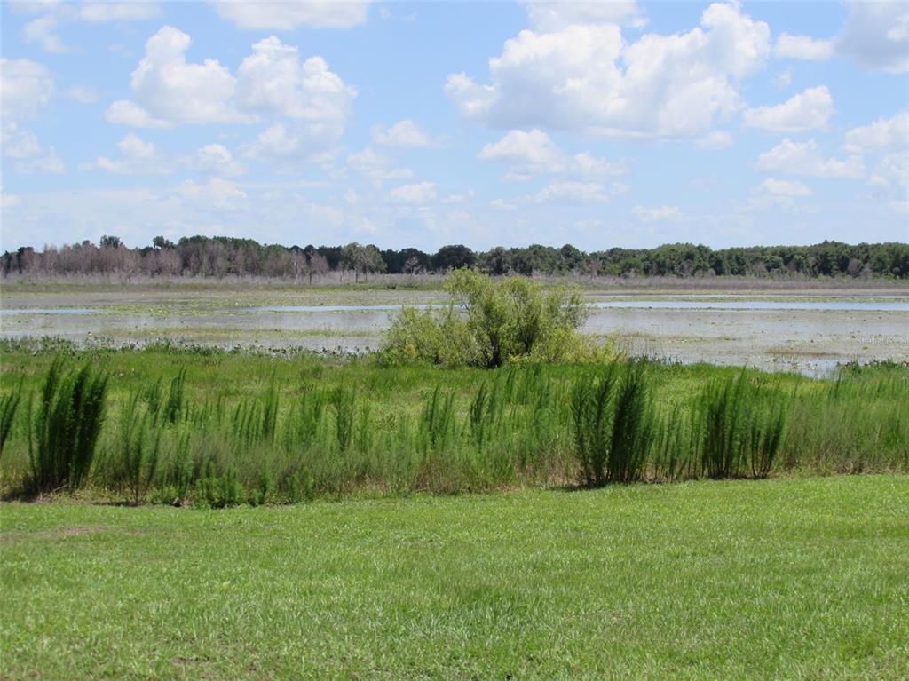 0 Southwest Big Bear Ridge Dunnellon, FL 34431 - Photo 19 of 19 a view of lake with green space