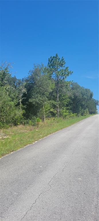 0 Southwest Big Bear Ridge Dunnellon, FL 34431 - Photo 3 of 19 a view of a field with a yard