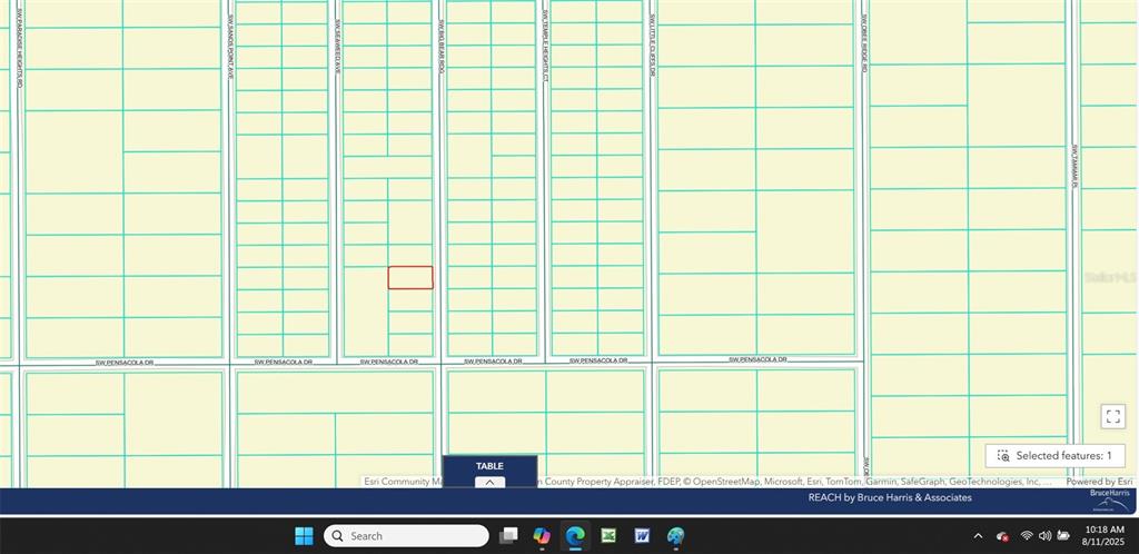 0 Southwest Big Bear Ridge Dunnellon, FL 34431 - Photo 4 of 19 a view of a black and white wall