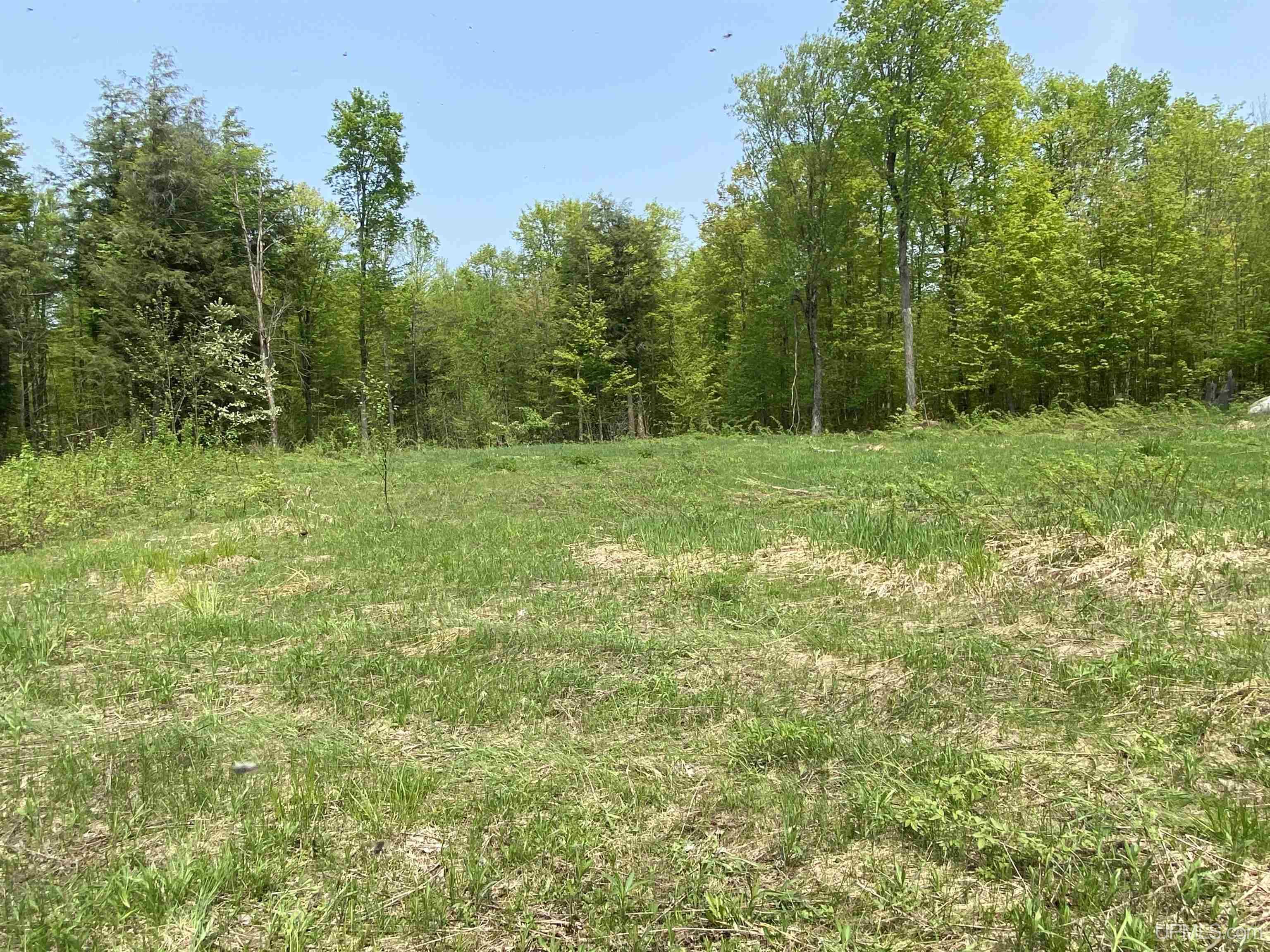 On East Shore Road Bergland, MI 49910 - Photo 2 of 3 Gallery Image 2