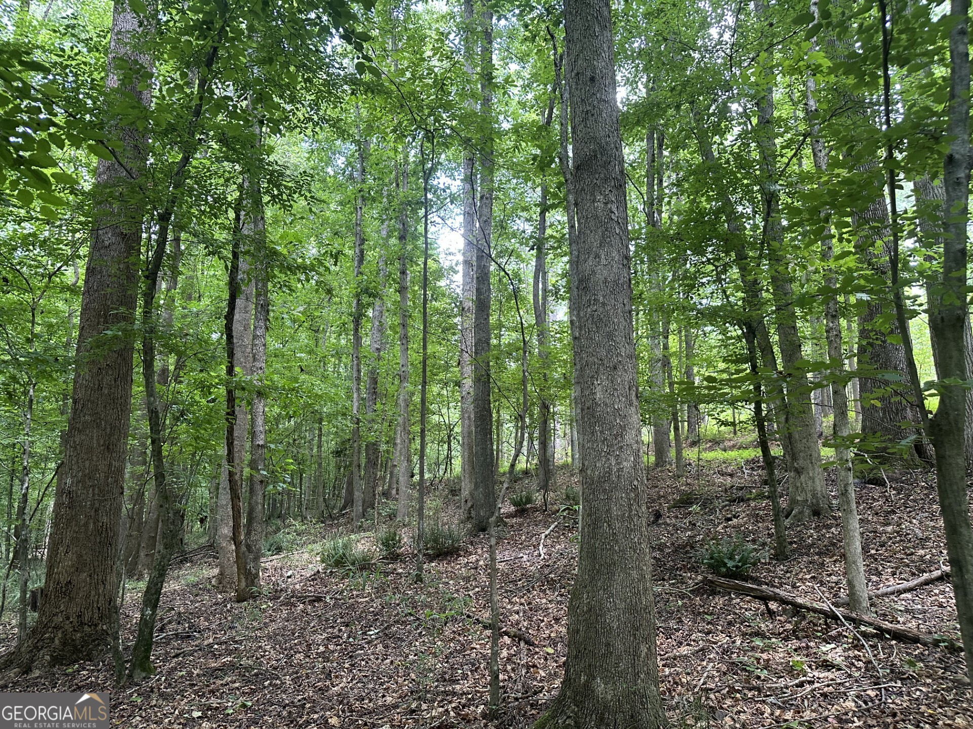 360 Happy Hollow Road Comer, GA 30629 - Photo 28 of 31