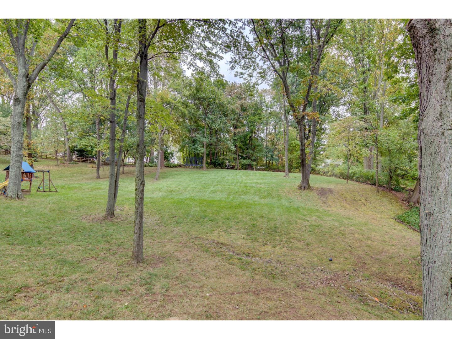 841 Malin Road Newtown Square, PA 19073 - Photo 21 of 22 Back Yard