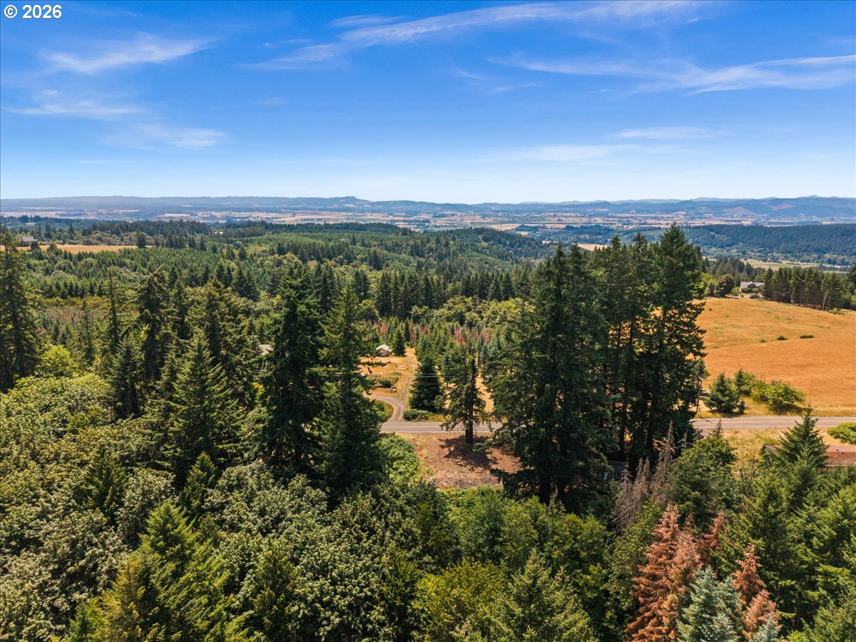 20802 Northwest Pumpkin Ridge Road North Plains, OR 97133 - Photo 8 of 18