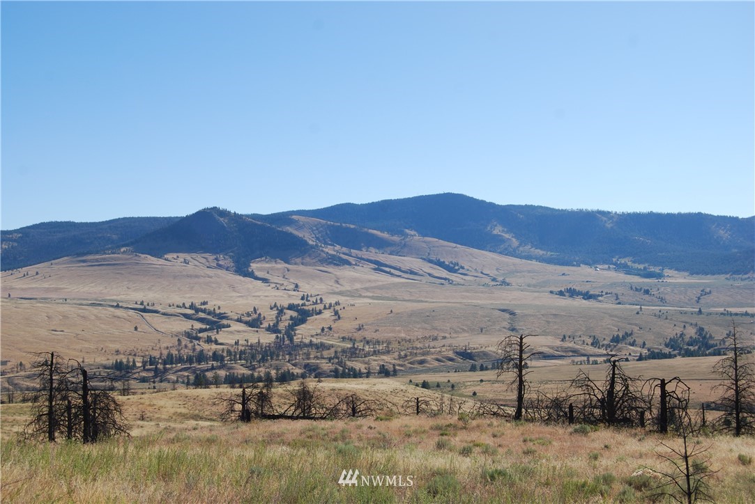 214 Hosheit Road Riverside, WA 98849 - Photo 1 of 13 Gallery Image 1