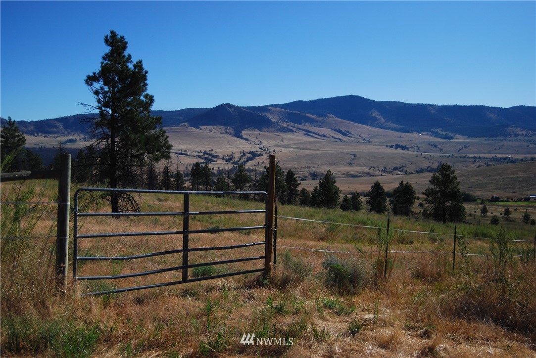 214 Hosheit Road Riverside, WA 98849 - Photo 13 of 13 Gallery Image 13