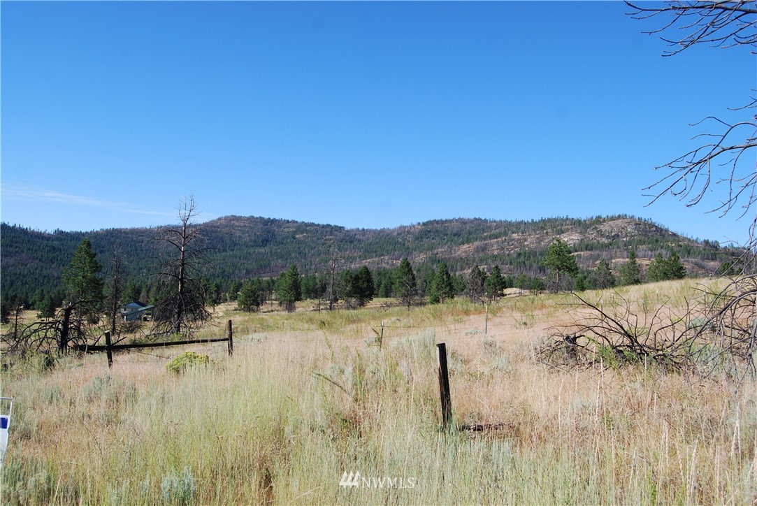 214 Hosheit Road Riverside, WA 98849 - Photo 4 of 13 Gallery Image 4