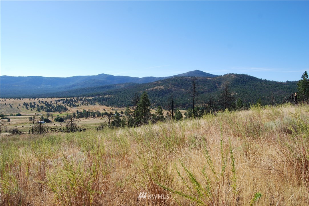 214 Hosheit Road Riverside, WA 98849 - Photo 9 of 13 Gallery Image 9