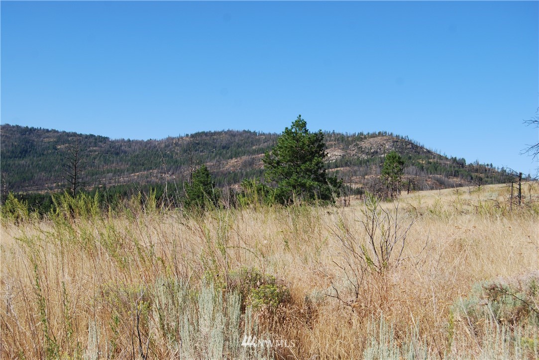 214 Hosheit Road Riverside, WA 98849 - Photo 10 of 13 Gallery Image 10