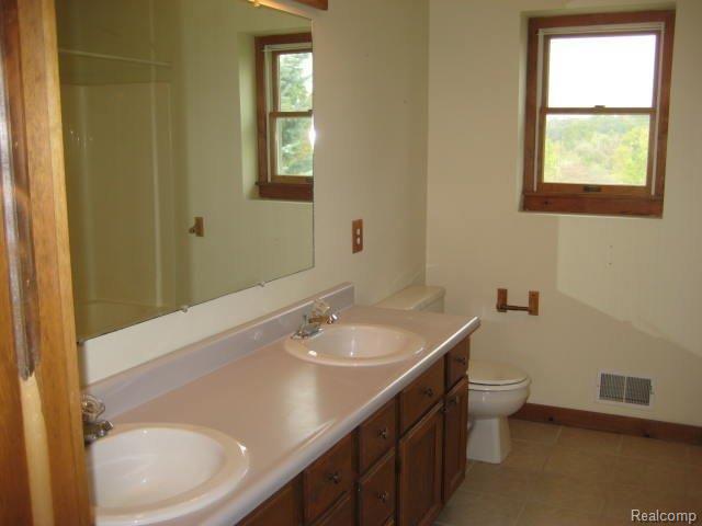 12287 Hill Road Goodrich, MI 48438 - Photo 10 of 19 Master Bath