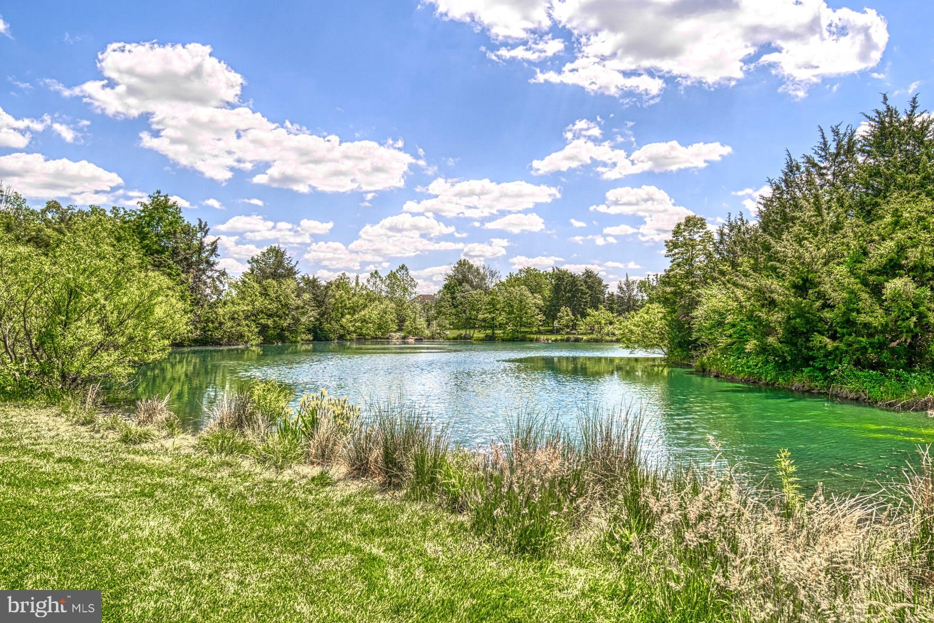 42064 Creighton Road Brambleton, VA 20148 - Photo 50 of 56 There are Several Ponds Stocked with Fish